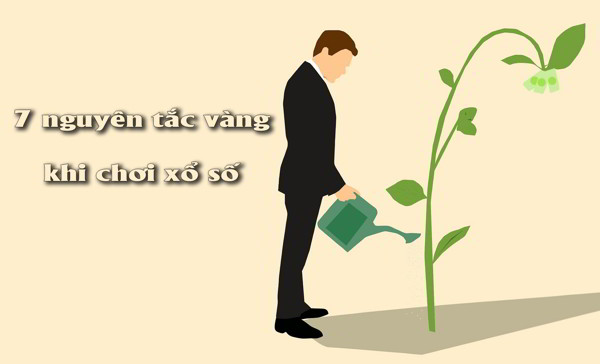 cau lo xien